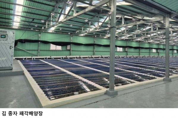 전남 친환경양식어업육성사업 3곳 추가 선정…보성·완도·진도에 125억 원 투입
