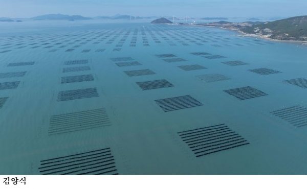 전남도, 수산물 생산량 전국 1위 유지