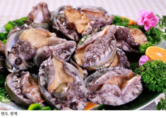 [칼럼] 완도전복 산업 대전환, ‘해양 건강식품·기능성 소재’ 5대 전략이 답이다