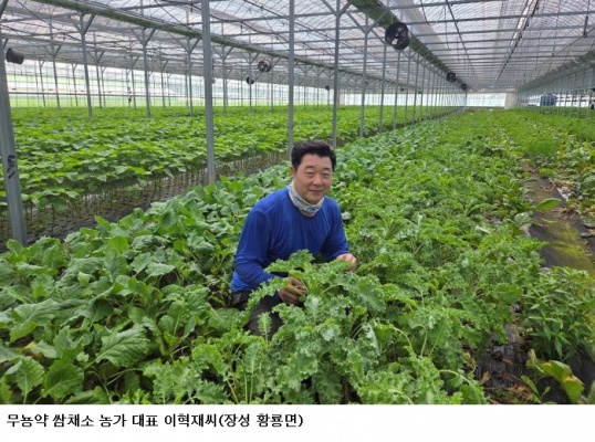전남광주특별시, 9월 친환경농산물에 장성 ‘무농약 쌈채소’