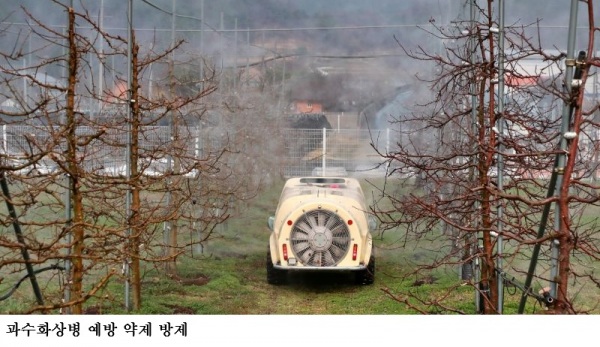 과수화상병 예방약제 적기 살포 당부…사과·배 발아기 방제 중요